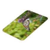 Magnet Flexible Papillon Monarque sur papillon pourpre Bush (Côté Gauche)