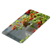Magnet Flexible Papillon Monarque sur un Buddleia Rouge (Côté Gauche)