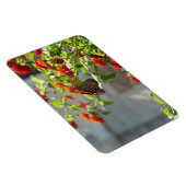 Magnet Flexible Papillon Monarque sur un Buddleia Rouge (Côté Droit)