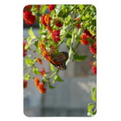 Magnet Flexible Papillon Monarque sur un Buddleia Rouge (Vertical)