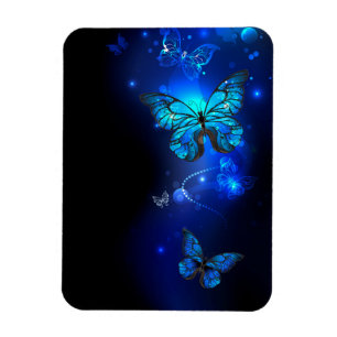 Magnet Flexible Papillon Morpho sur fond sombre