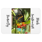Magnet Flexible Papillon noir à queue noire #2 (Horizontal)