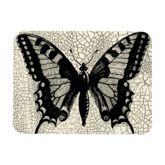 Magnet Flexible Papillon noir et blanc sur Arrière - plan fissuré (Horizontal)