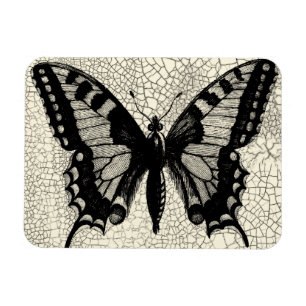 Magnet Flexible Papillon noir et blanc sur l'arrière - plan criqué