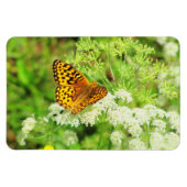Magnet Flexible Papillon noir et orange sur Fleurs blanches (Horizontal)