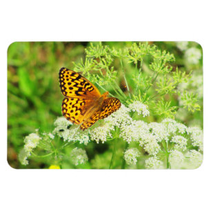 Magnet Flexible Papillon noir et orange sur Fleurs blanches
