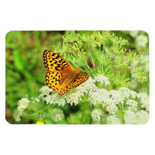 Magnet Flexible Papillon noir et orange sur Fleurs blanches (Horizontal)