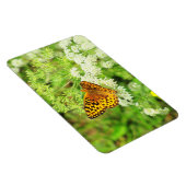 Magnet Flexible Papillon noir et orange sur Fleurs blanches (Côté Droit)