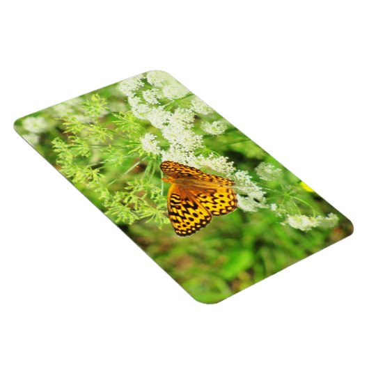 Magnet Flexible Papillon noir et orange sur Fleurs blanches (Côté Droit)