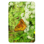Magnet Flexible Papillon noir et orange sur Fleurs blanches (Vertical)