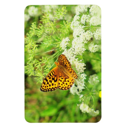 Magnet Flexible Papillon noir et orange sur Fleurs blanches (Vertical)