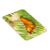 Magnet Flexible Papillon orange Crusier (Côté Droit)