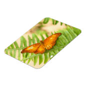 Magnet Flexible Papillon orange Crusier (Côté Gauche)