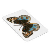 Magnet Flexible Papillon Pansy Bleu (Côté Droit)