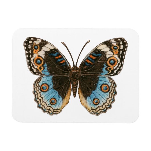 Magnet Flexible Papillon Pansy Bleu (Horizontal)