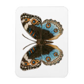 Magnet Flexible Papillon Pansy Bleu (Vertical)
