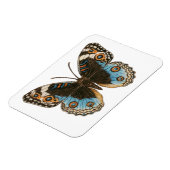 Magnet Flexible Papillon Pansy Bleu (Côté Gauche)