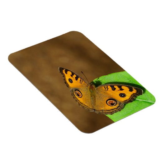 Magnet Flexible Papillon paon (Côté Droit)