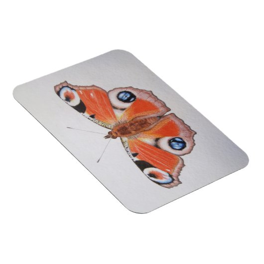 Magnet Flexible Papillon Peacock 2012 (Côté Droit)