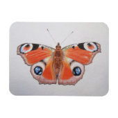 Magnet Flexible Papillon Peacock 2012 (Horizontal)