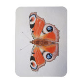 Magnet Flexible Papillon Peacock 2012 (Vertical)