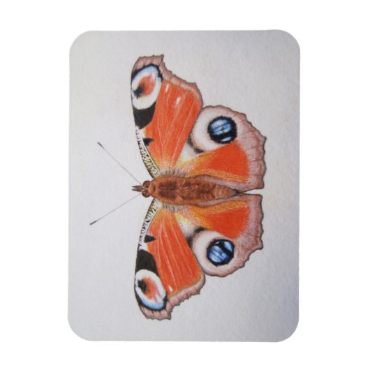 Magnet Flexible Papillon Peacock 2012 (Vertical)