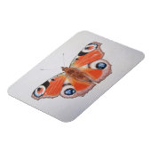 Magnet Flexible Papillon Peacock 2012 (Côté Gauche)