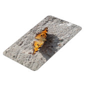 Magnet Flexible Papillon sous le soleil (Côté Gauche)