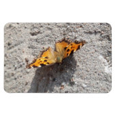 Magnet Flexible Papillon sous le soleil (Horizontal)
