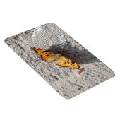 Magnet Flexible Papillon sous le soleil (Côté Droit)
