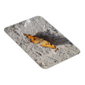 Magnet Flexible Papillon sous le soleil (Côté Droit)