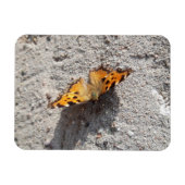 Magnet Flexible Papillon sous le soleil (Horizontal)