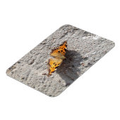Magnet Flexible Papillon sous le soleil (Côté Gauche)