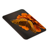 Magnet Flexible Papillon sur aimant Zinnia (Côté Droit)