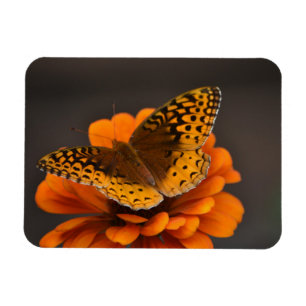 Magnet Flexible Papillon sur aimant Zinnia
