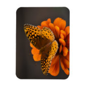 Magnet Flexible Papillon sur aimant Zinnia (Vertical)