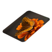 Magnet Flexible Papillon sur aimant Zinnia (Côté Gauche)