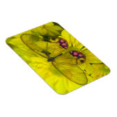 Magnet Flexible Papillon sur jaune (Côté Droit)