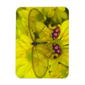 Magnet Flexible Papillon sur jaune (Vertical)