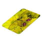 Magnet Flexible Papillon sur jaune (Côté Gauche)