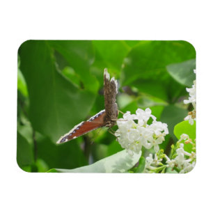 Magnet Flexible Papillon sur l'aimant Lilac de printemps