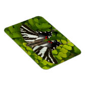 Magnet Flexible Papillon swallowtail américain (Côté Droit)
