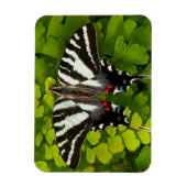 Magnet Flexible Papillon swallowtail américain (Vertical)