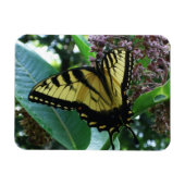 Magnet Flexible Papillon Swallowtail I sur Milkweed à Shenandoah (Horizontal)