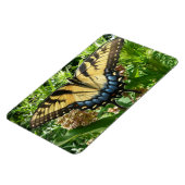 Magnet Flexible Papillon Swallowtail II à Shenandoah (Côté Gauche)