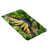 Magnet Flexible Papillon Swallowtail II à Shenandoah (Côté Droit)