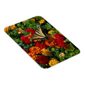 Magnet Flexible papillon swallowtail jaune fleurs orange & rouges (Côté Droit)