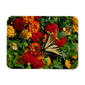 Magnet Flexible papillon swallowtail jaune fleurs orange & rouges (Horizontal)