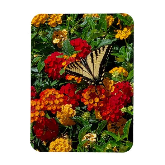 Magnet Flexible papillon swallowtail jaune fleurs orange & rouges (Vertical)