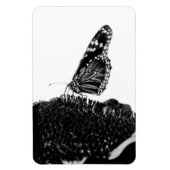 Magnet Flexible papillon timide blacq (Vertical)